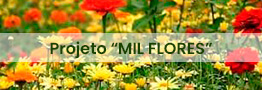 Projeto Mil Flores